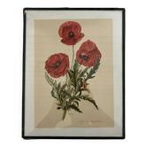 Old botanical plate