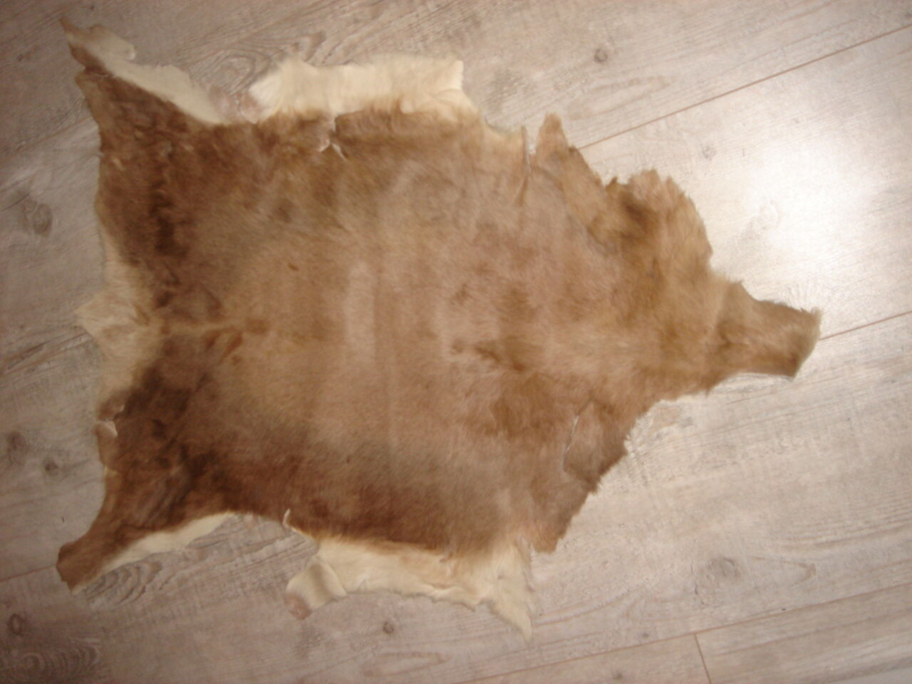 Tanned goatskin of 1970, ideal descent of bed 55x100cm