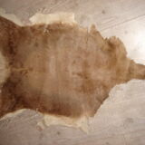 Tanned goatskin of 1970, ideal descent of bed 55x100cm