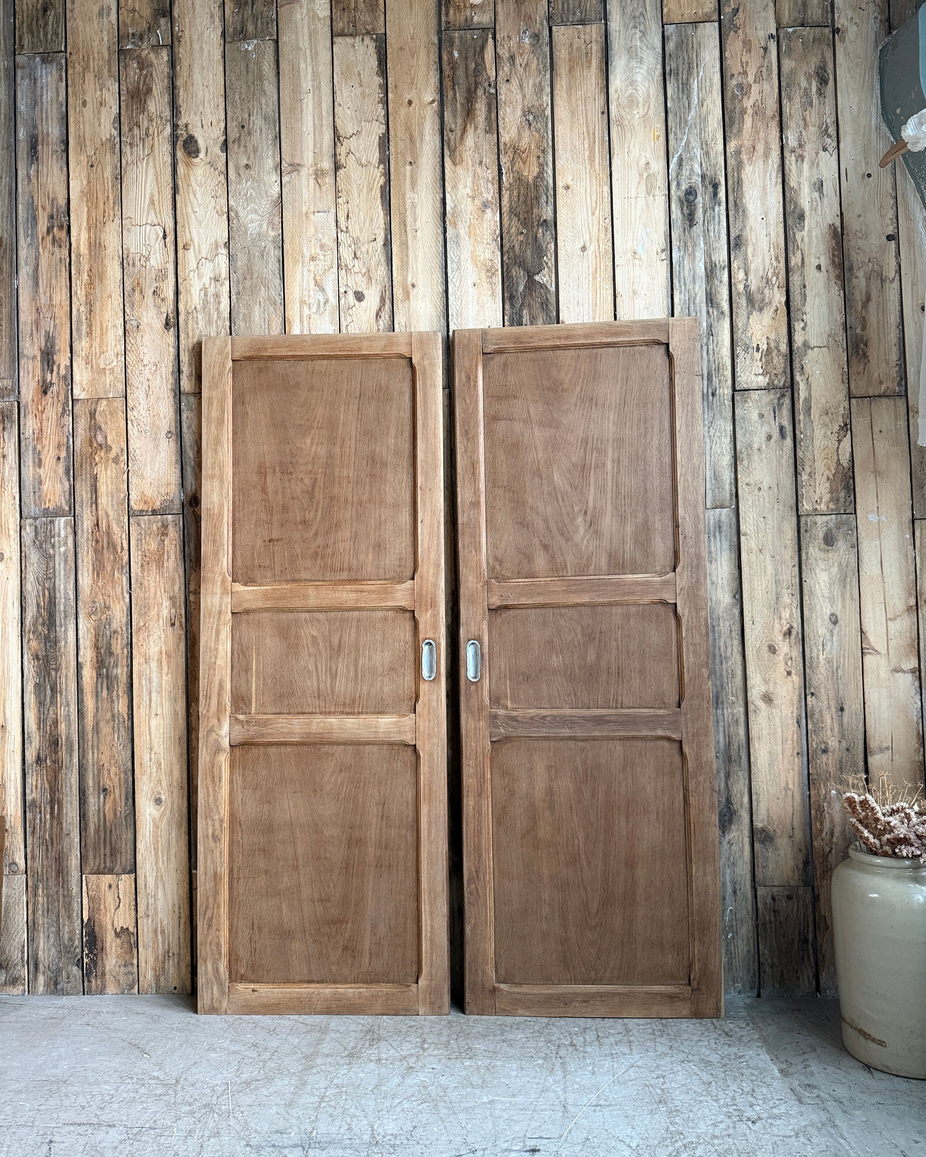 Paire de portes d’armoire