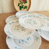 Set de 8 assiettes à dessert Arcopal modèle Véronica vintage