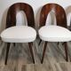 Dining Chairs by Antonin Suman, 1960s, Set of 4