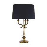 Dolphin hot water bottle lamp