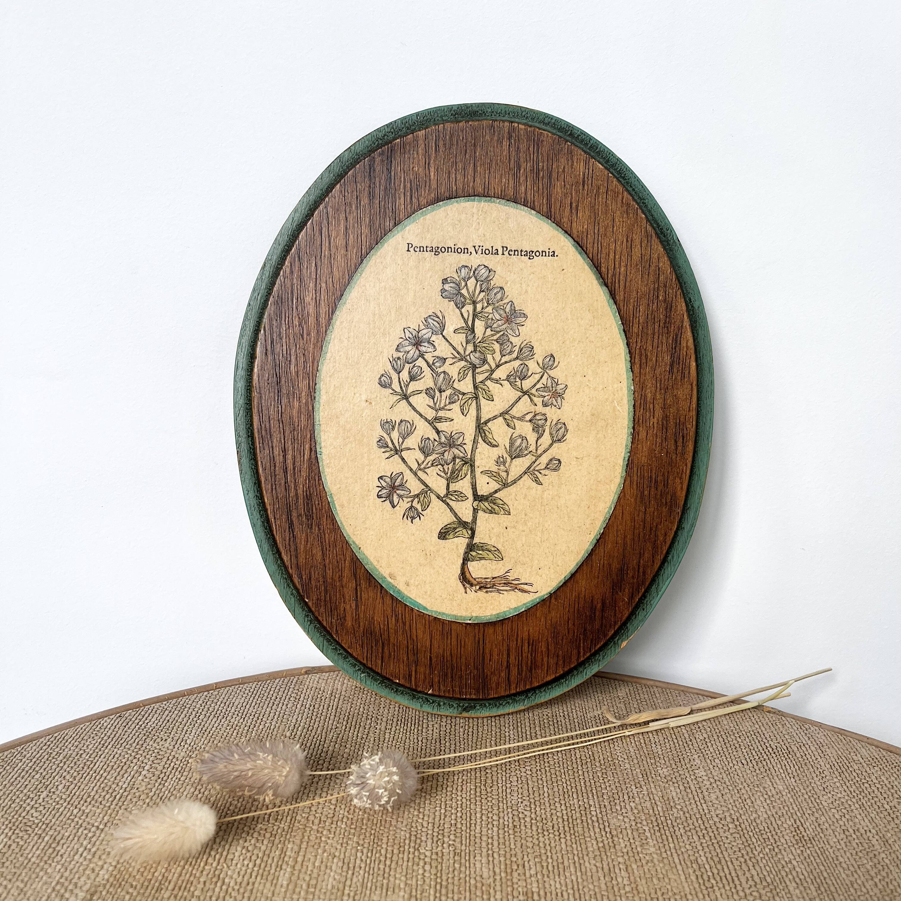 Herbarium botanical medallion plaque