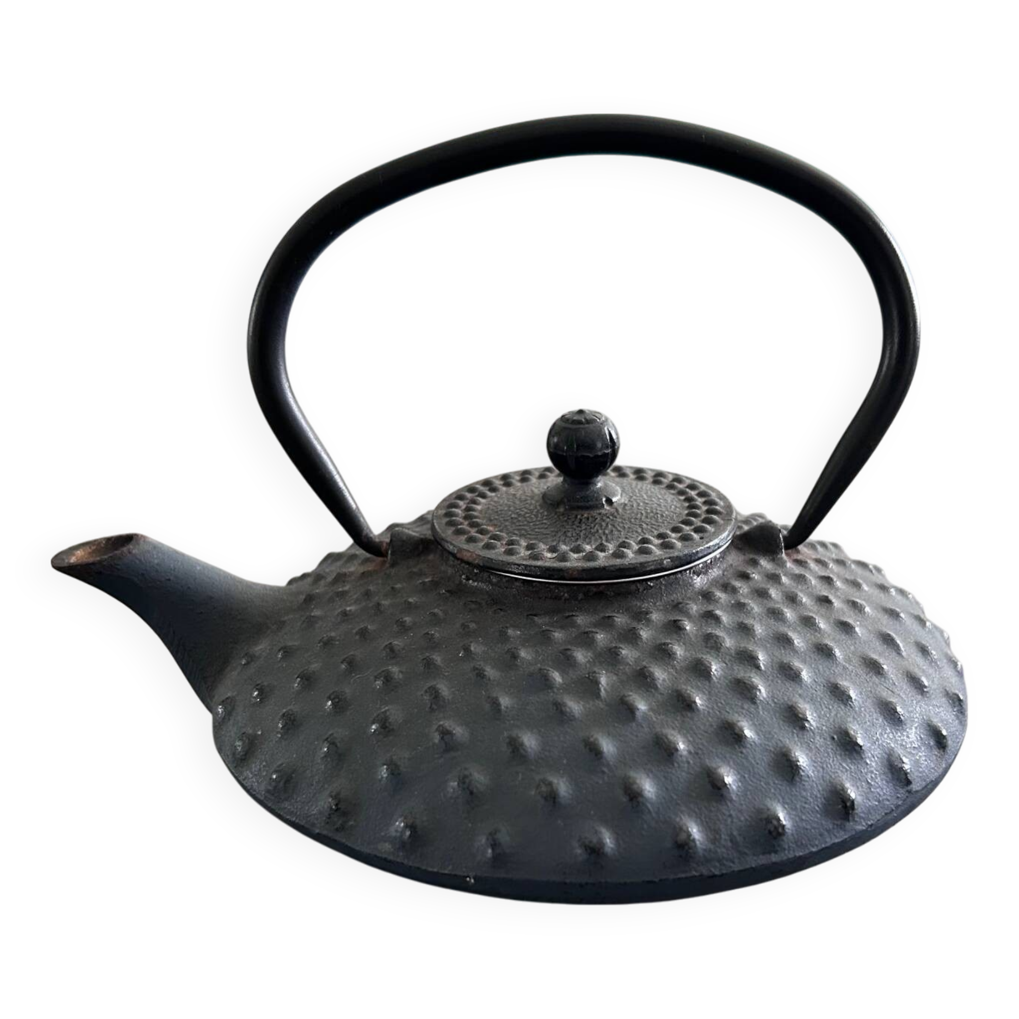 Japanese cast iron teapot