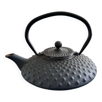 Japanese cast iron teapot