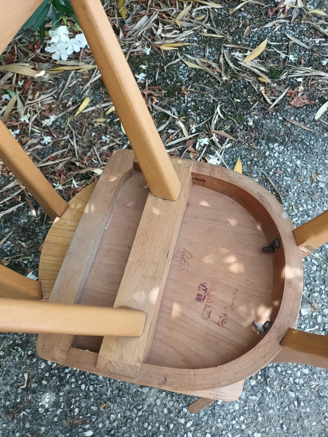 Antelope Chairs Stella Luterma