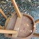 Chaises Antilope Stella Luterma