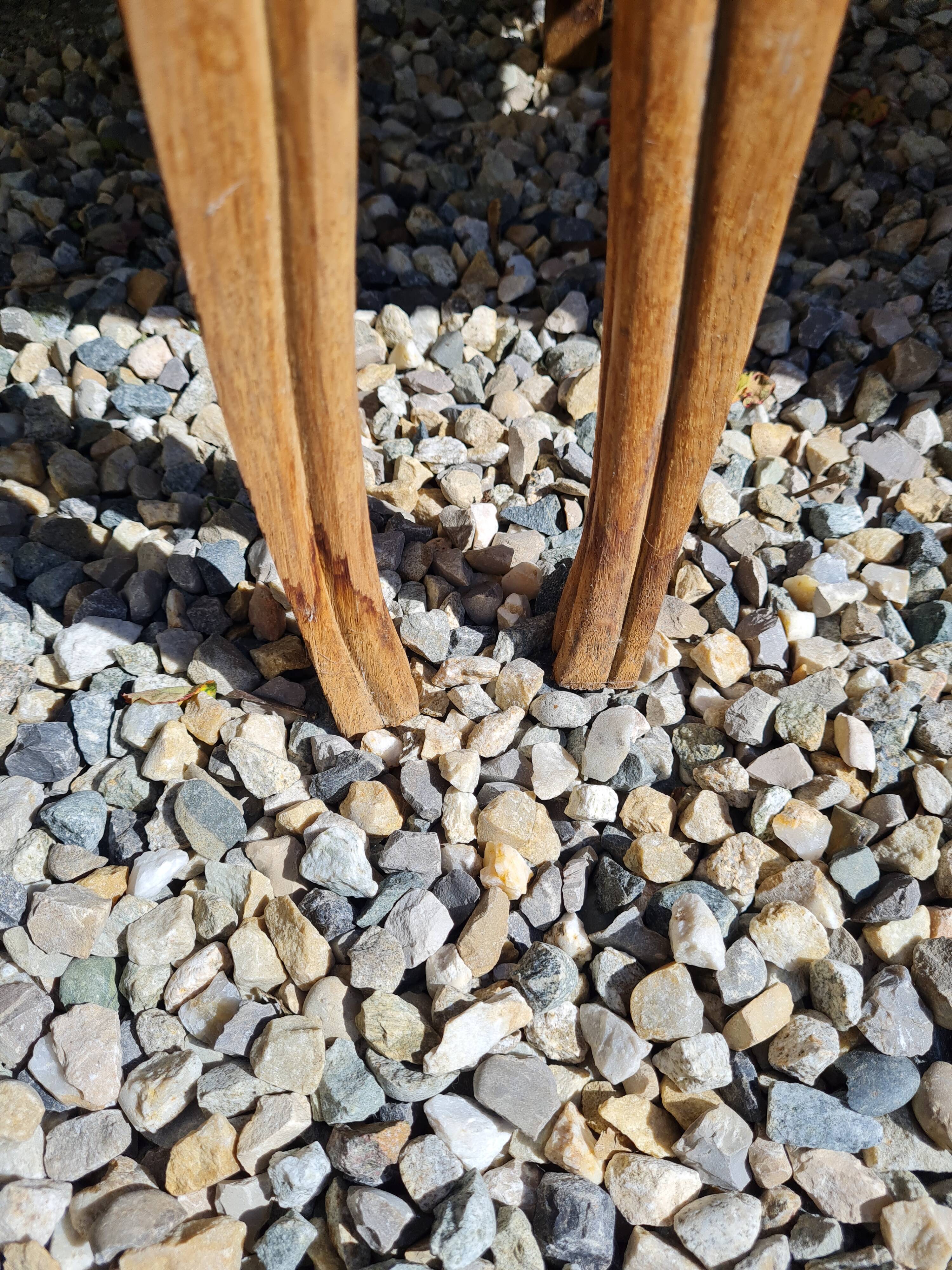 Set of art deco chairs in wood and skaï