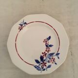 Set of 5 plates the amandinoise
