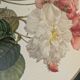 Plateau métal décor floral