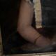 Oil on canvas 19th century young child carrying his cat gilded frame