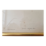 Bird prints J.Gould HC Richter