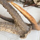 Lustre deer antler