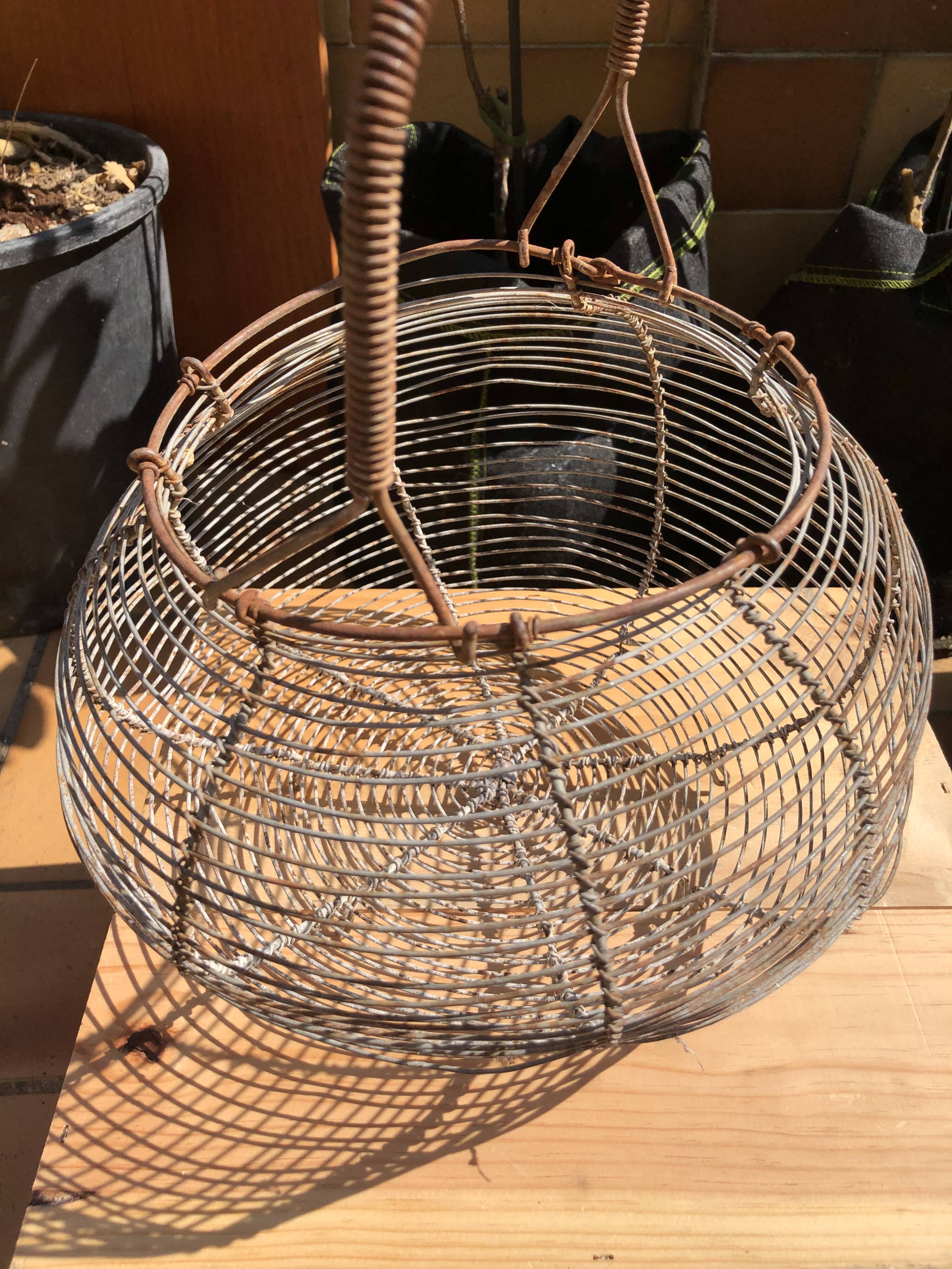 Old egg basket in metal shape round metal handle
