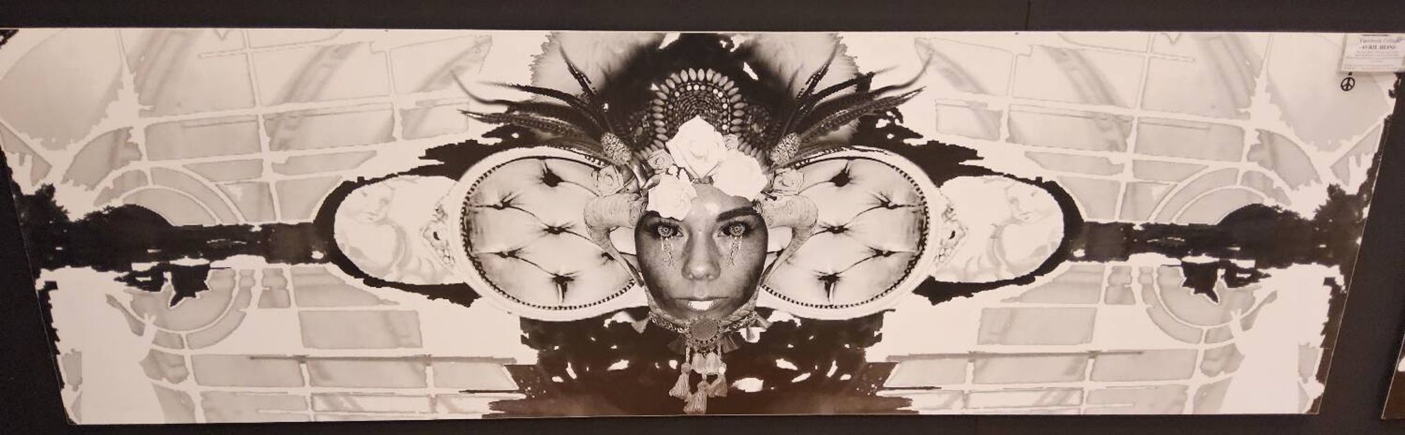 Large black and white artworks / photo collage (160x50) eyes