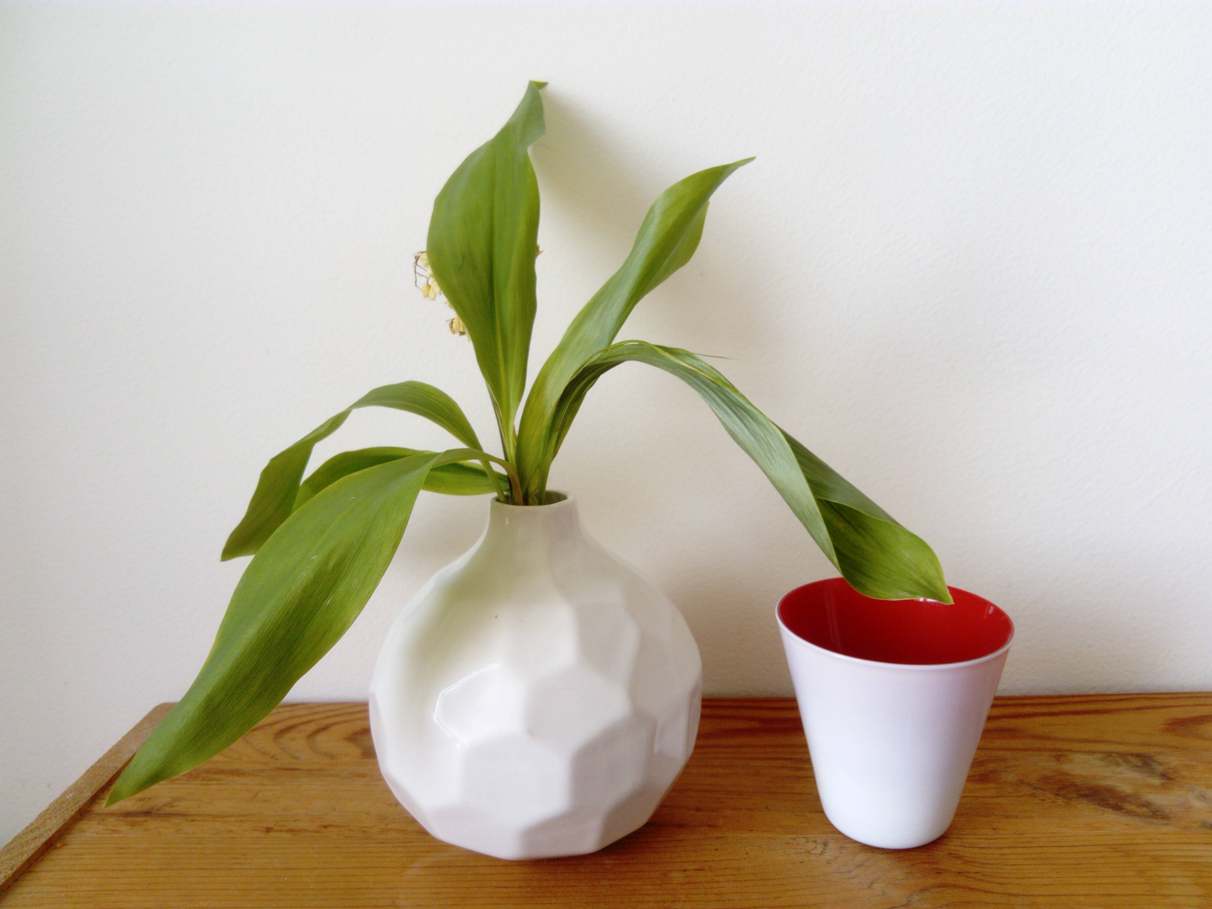 white ceramic faceted design vase