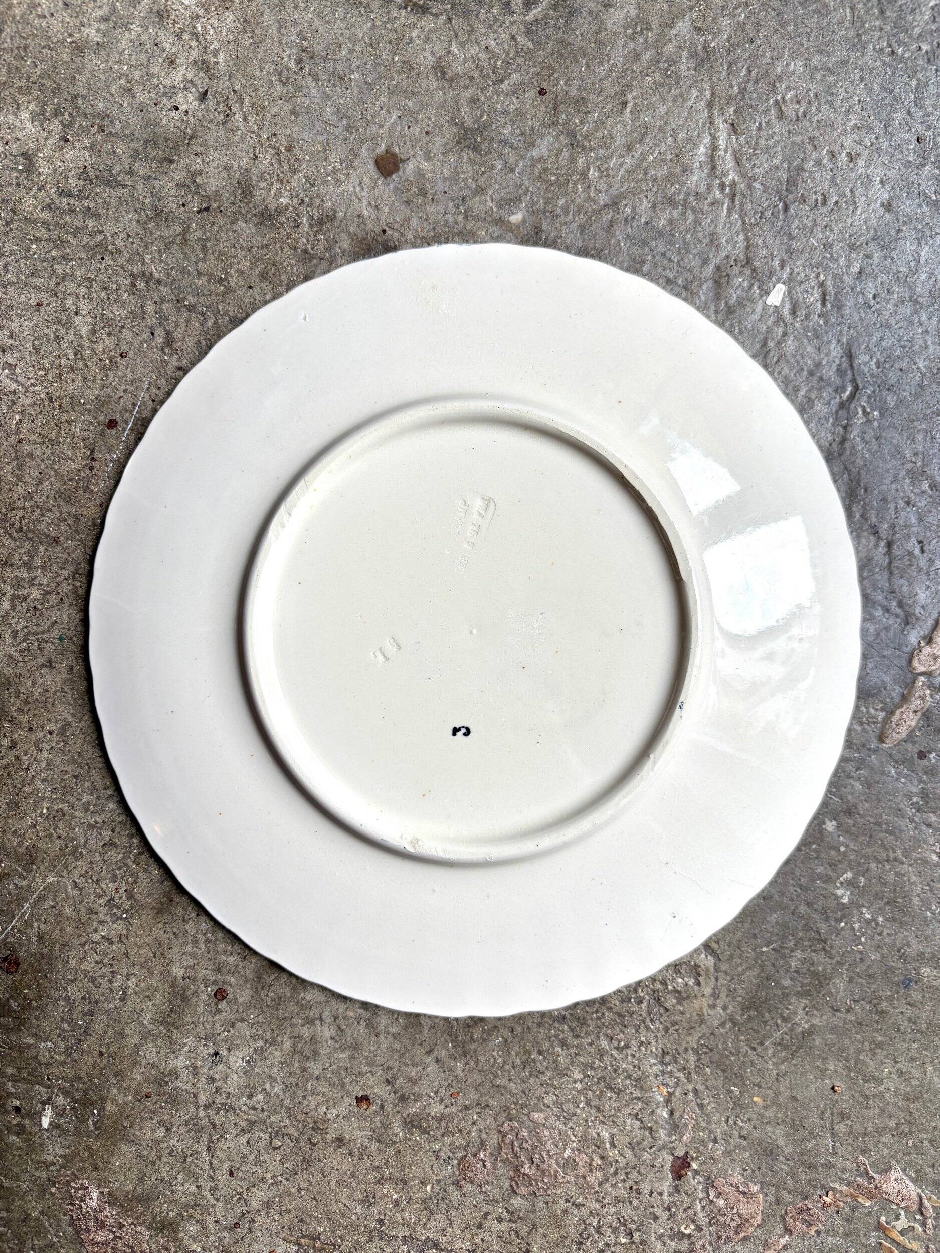 Longchamp ironstone dinner plate, "Ribbons" service