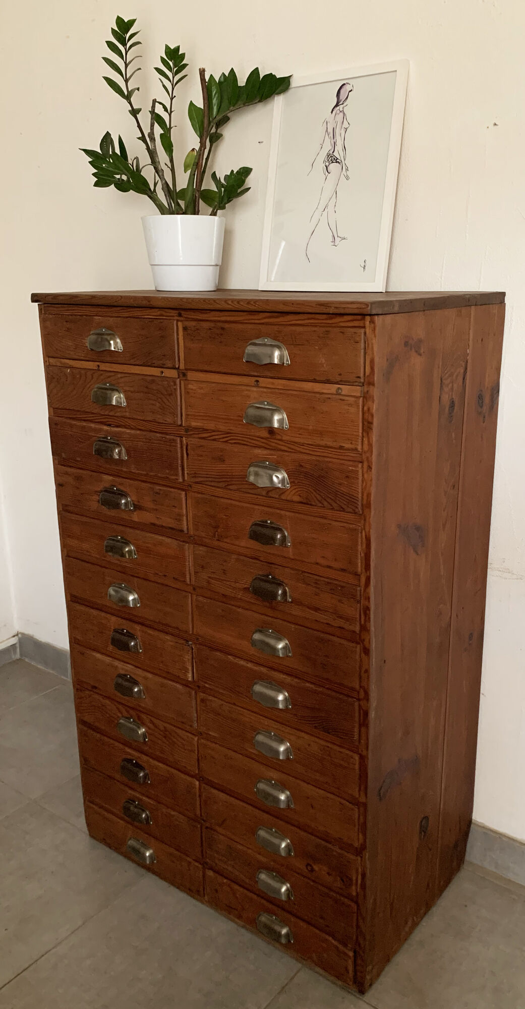 Old apothecary trade furniture in vintage wood 24 drawers.
