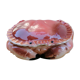 Faïence Caugant bisque crab box