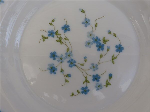 Arcopal hollow plates blue flowers model Veronica