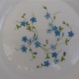Arcopal hollow plates blue flowers model Veronica