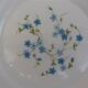 Arcopal hollow plates blue flowers model Veronica