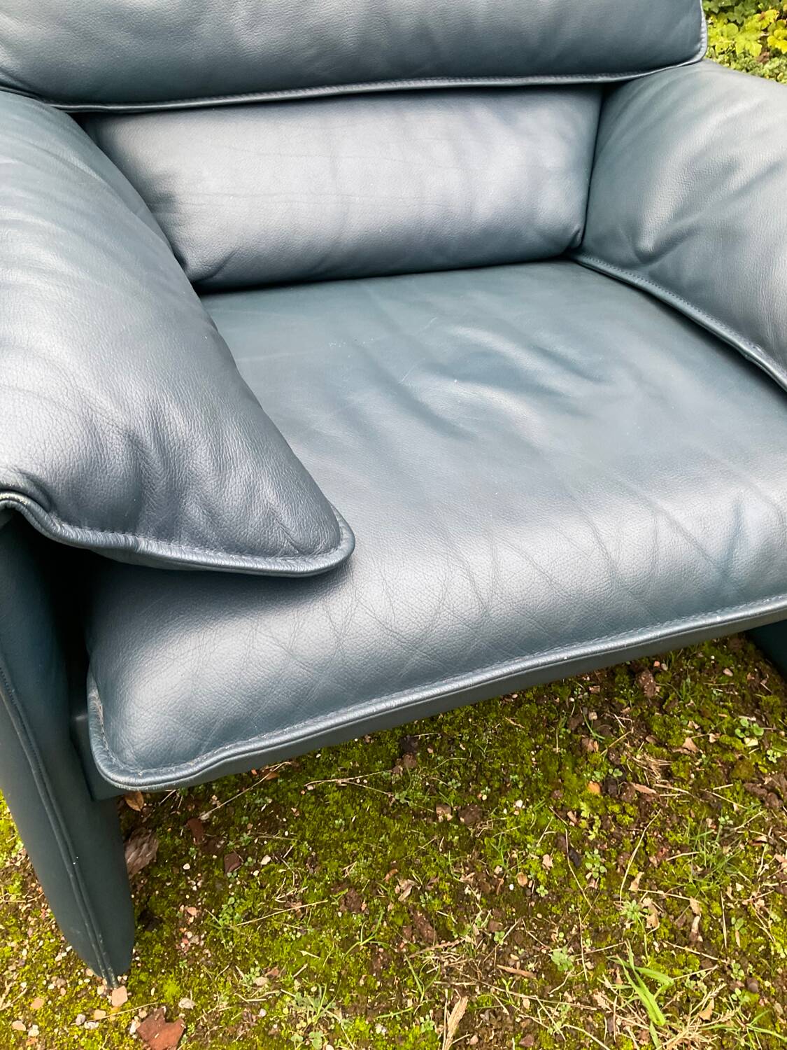Fauteuil Bora Bora pour Leolux par Axel Enthoven
