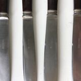 10 bakelite handle knives