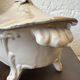 Moustiers earthenware vegetable dish 18th century