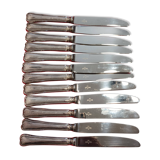 Set of 12 small knives in silver metal and stainless steel from the Ravinet d'Enfer Paris brand