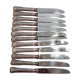 Set of 12 small knives in silver metal and stainless steel from the Ravinet d'Enfer Paris brand
