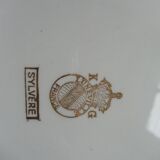 Dish
