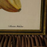 Pair of botanical boards collection metadier