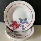 5 plates of Digoin earthenware