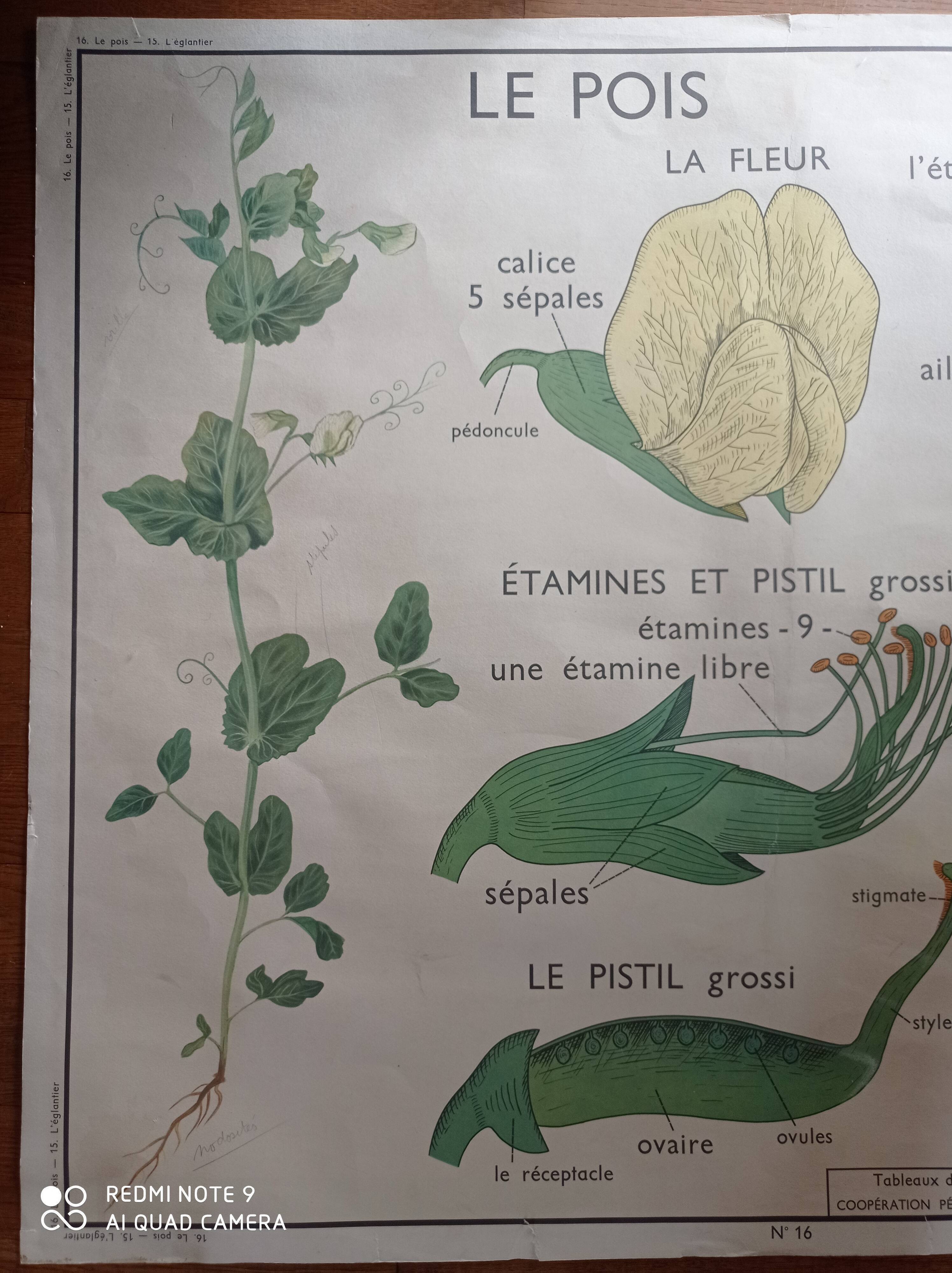 Vintage school poster