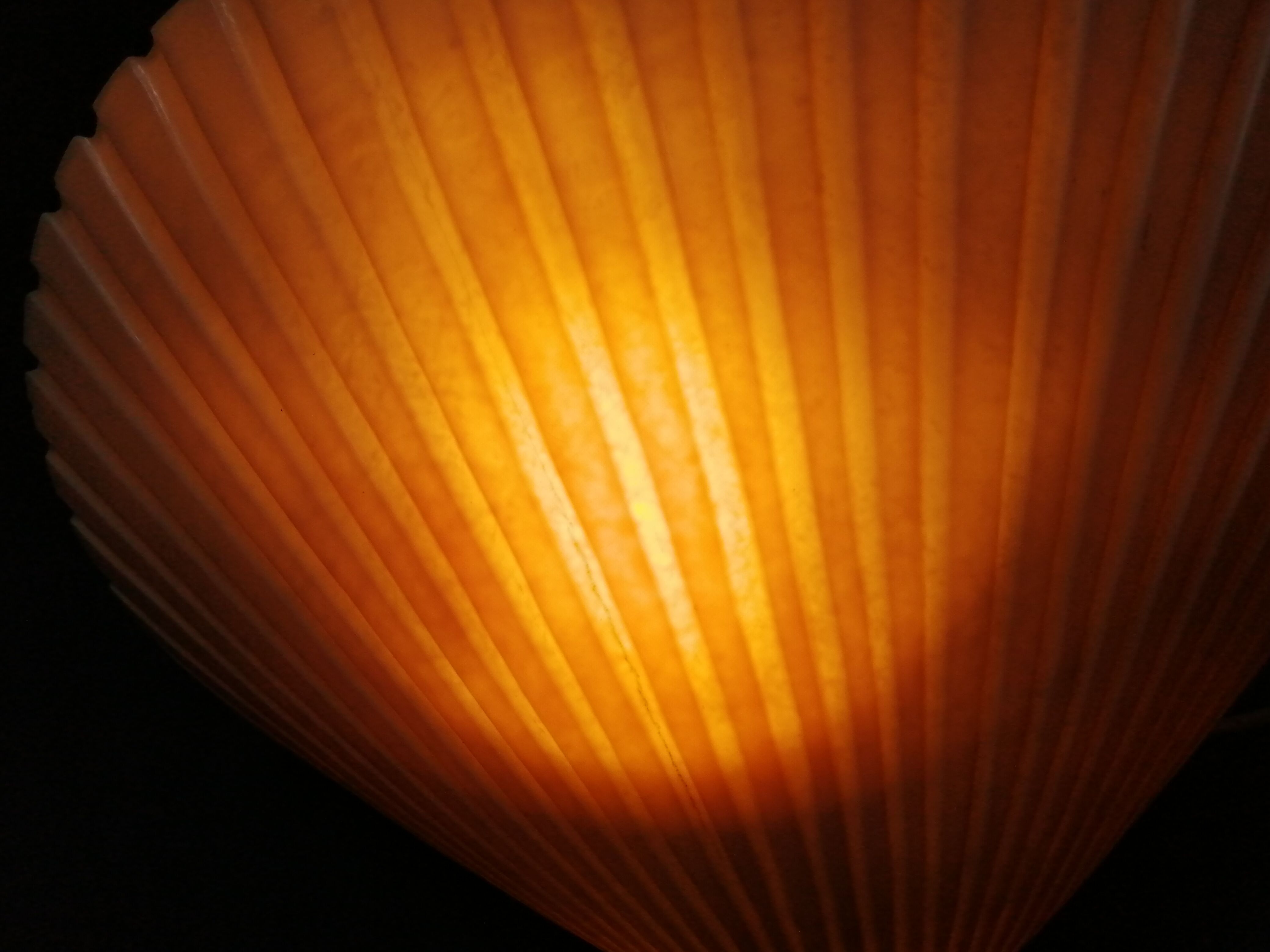 Lampe coquille Saint Jacques en fibre de verre design Michèle Mahé, des années 60