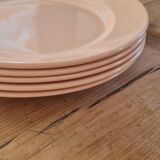 Set of 5 vintage earthenware plates