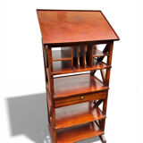 Bibus furniture with an adjustable shelf – vintage library furniture