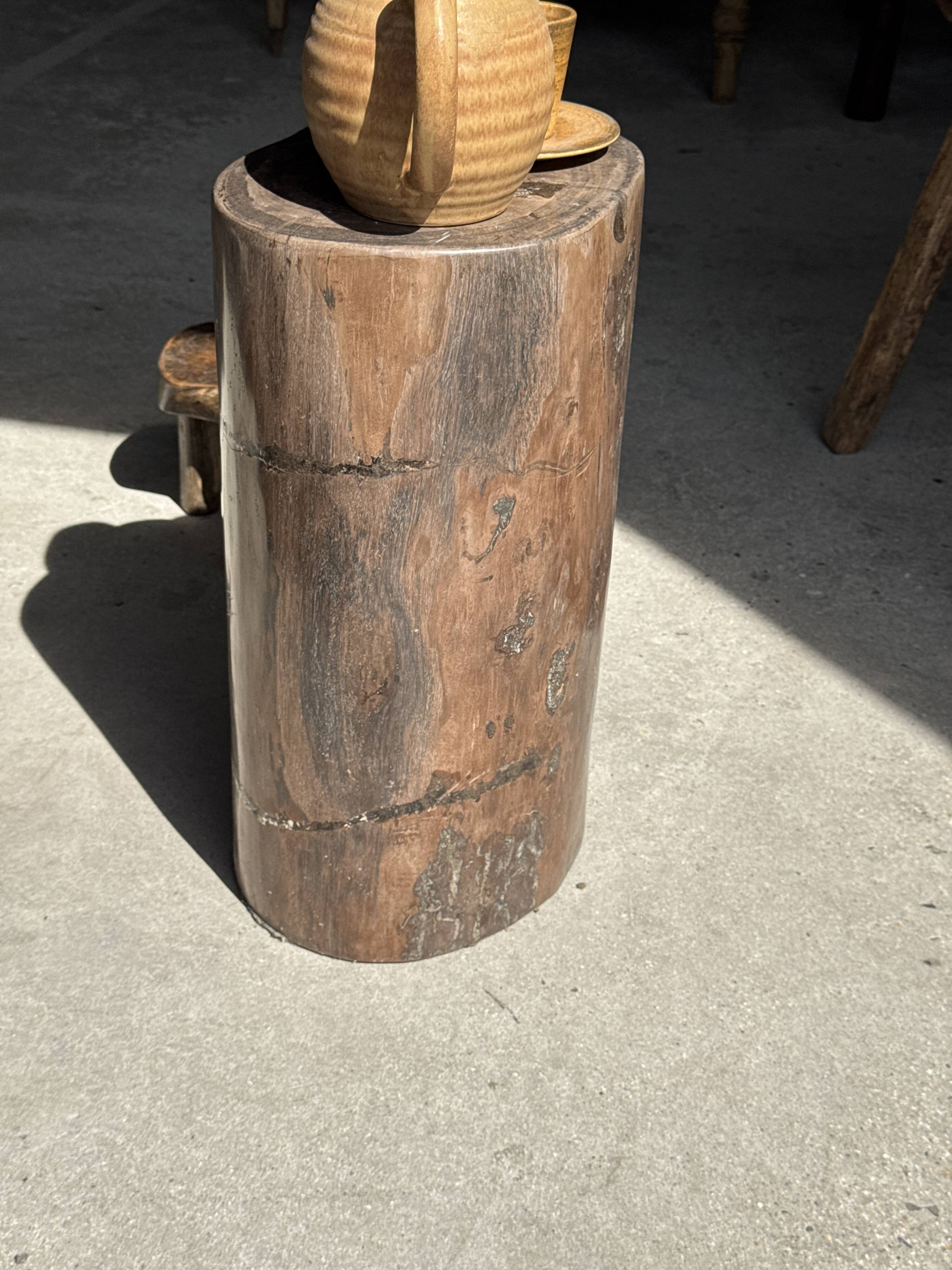 Table d'appoint en bois pétrifié brune H46 D29 - 3338