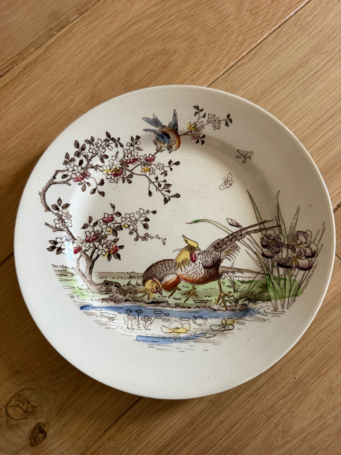 Polychrome ironstone dessert plates from Digoin and Sarreguemines.