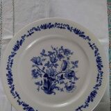 Set of 12 Bavarian porcelain dinner plates - 1960s