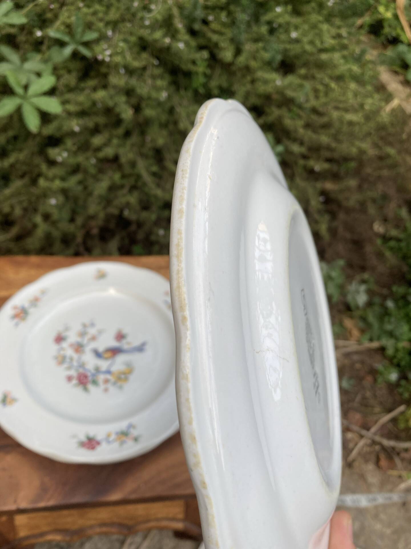 Sarreguemines plates paradise birds / Phoenix