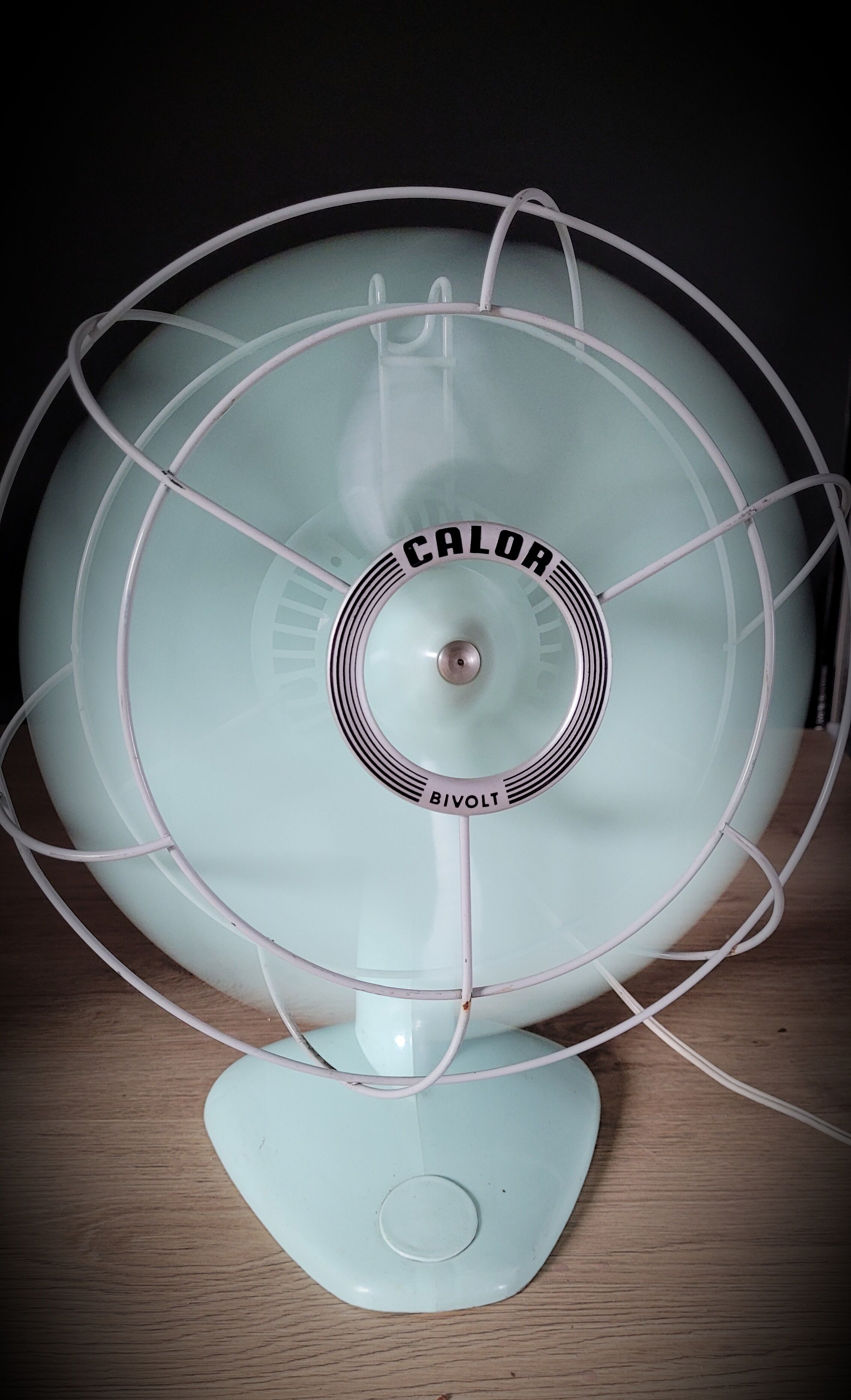 Calor 60s fan
