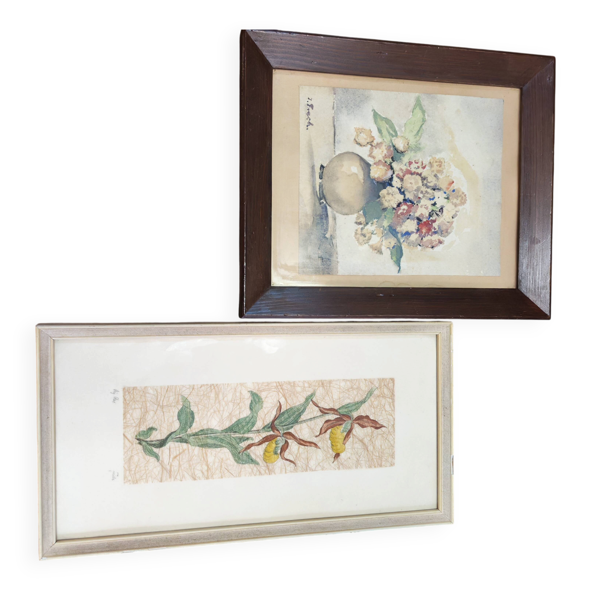 Set of two vintage flower illustrations
