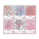 Lot de 6 affiches Damien Hirst