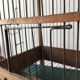 Former wooden birdcage