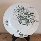 P.Luce Paris 5 Flat plates in Iron Earth bird décor