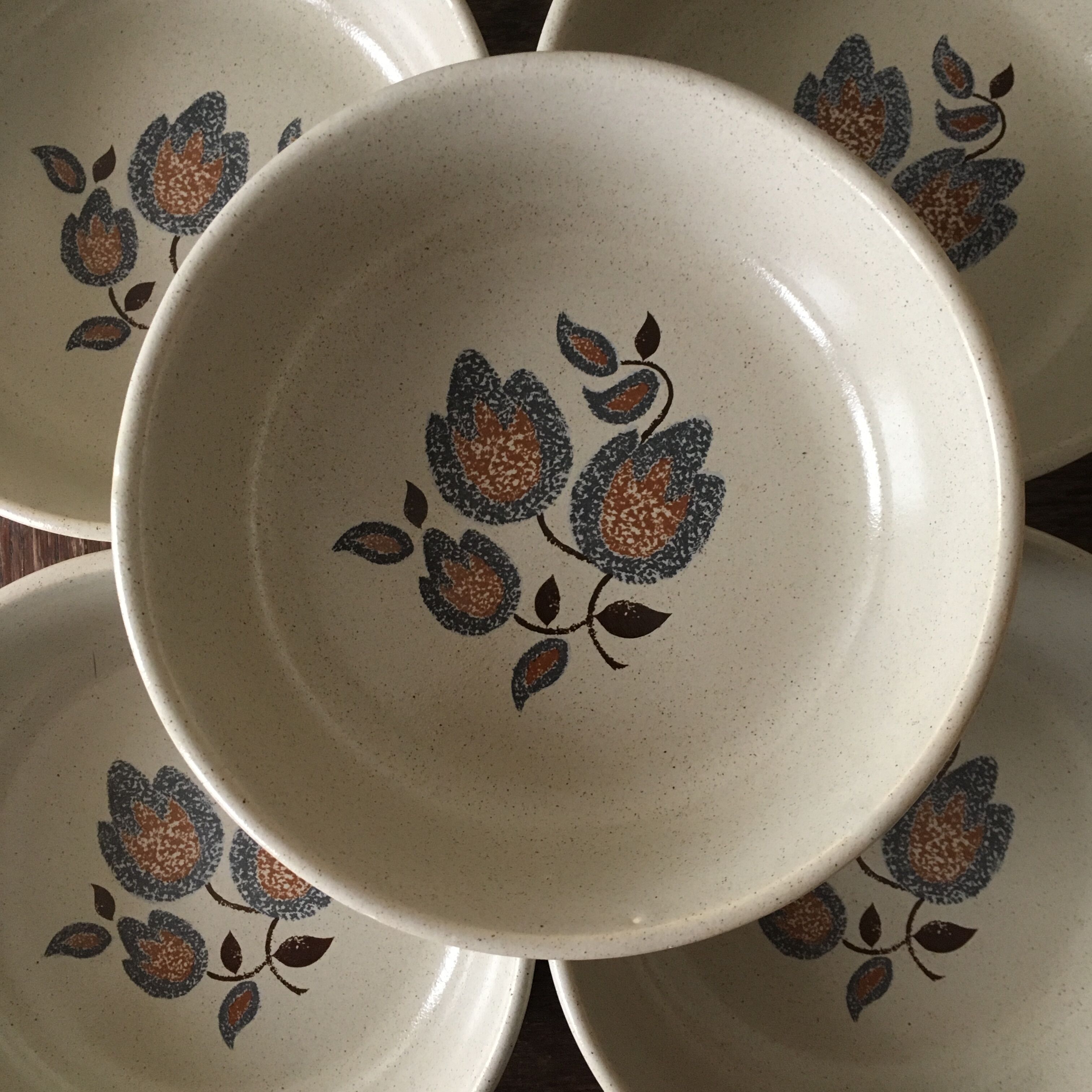 Salad bowl and 5 assorted hollow plates St-Amand Sologne