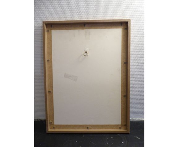 Natural History Color Lithography Pic Épeichette 1929